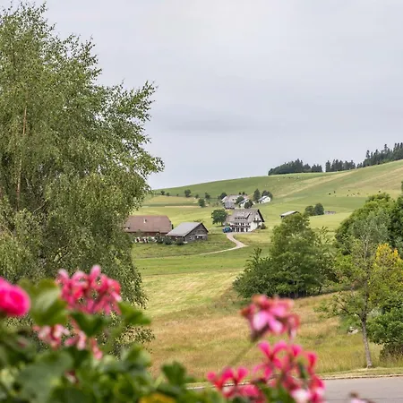 Weitblick * Breitnau