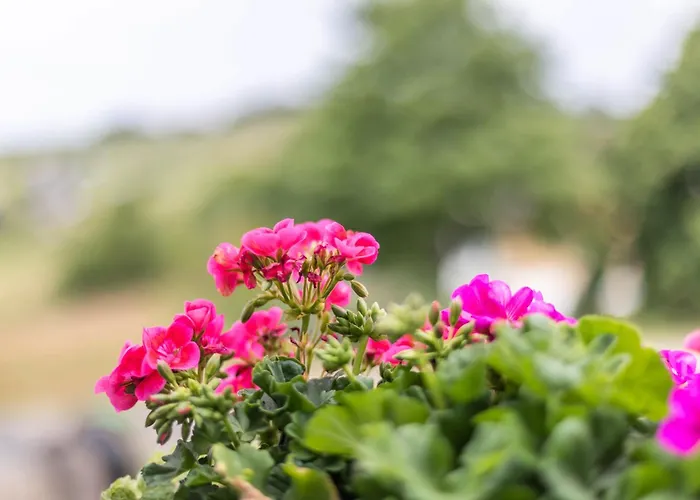 Lägenhet Weitblick *